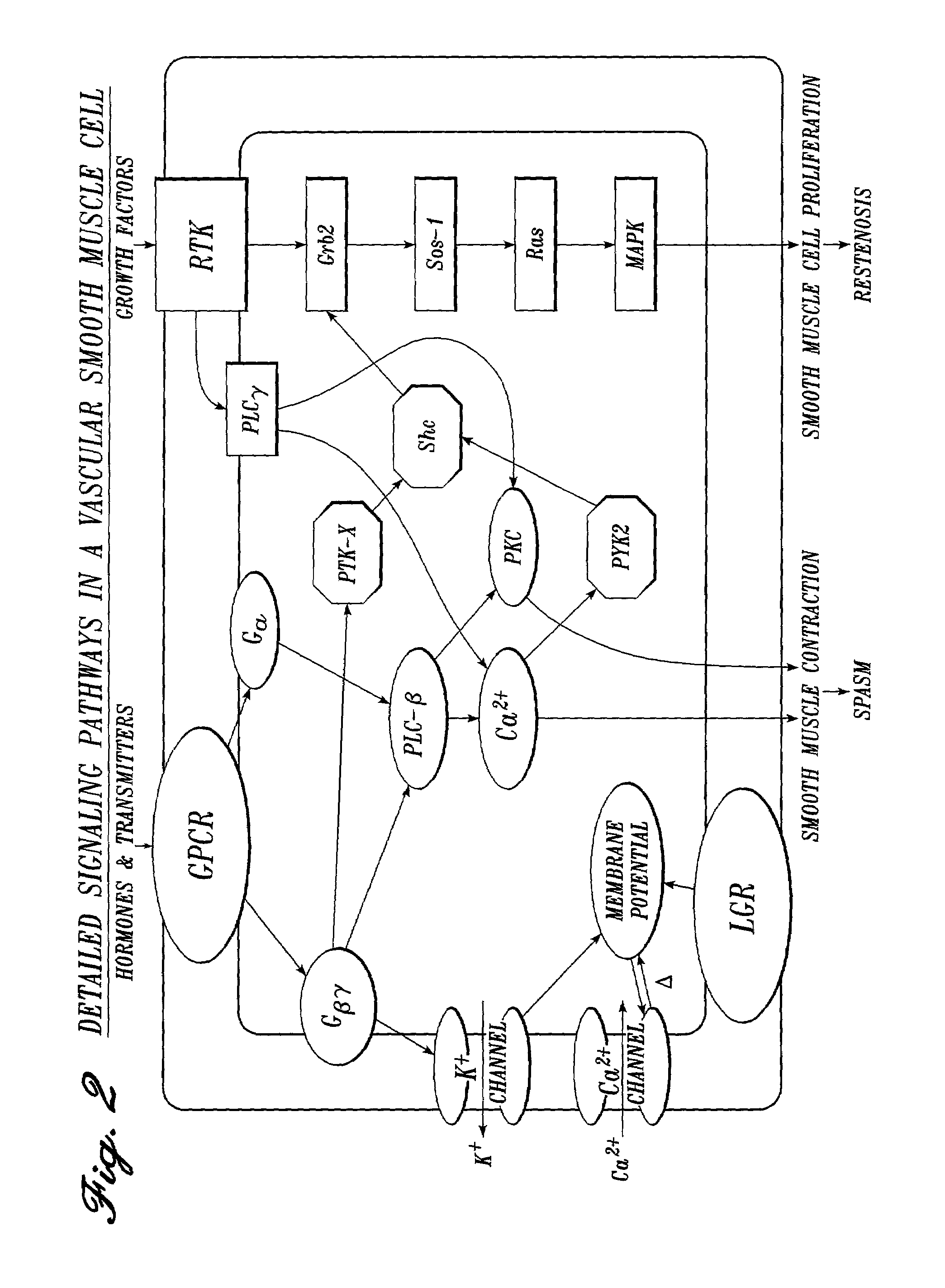 Method of inhibition of pain and inflammation during surgery comprising administration of soluble TNF receptors