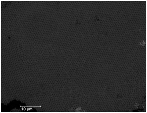 Method for integrating garnet film on silicon at low temperature based on transfer printing