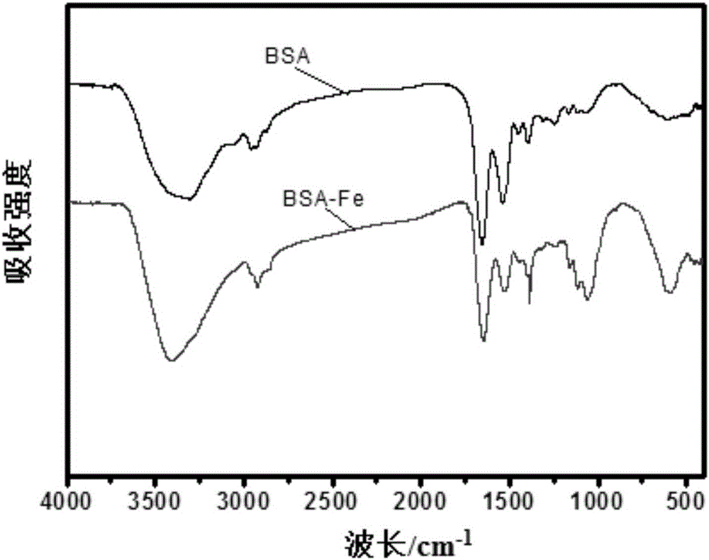 Bovine serum albumin coated ferriferrous oxide nano-particle T1-MRI (Magnetic Resonance Imaging) contrast medium and preparation method thereof