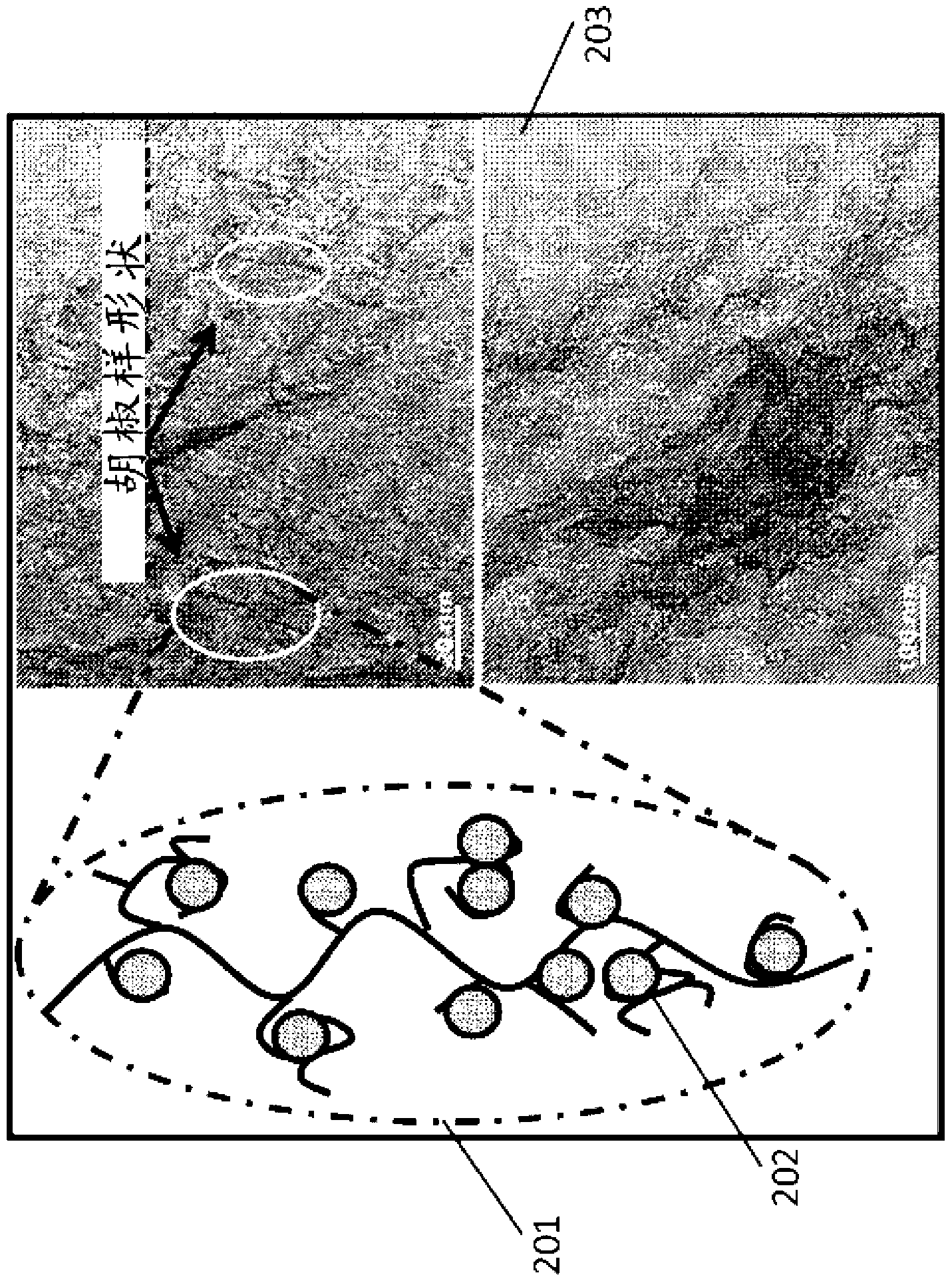 Organic templated nanometal oxyhydroxide