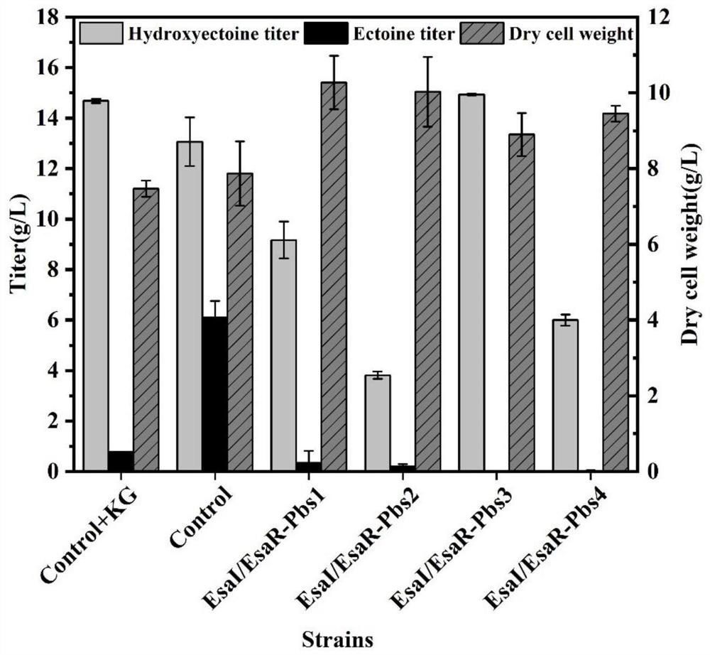 Genetically engineered bacterium for producing hydroxyectoine and application of genetically engineered bacterium