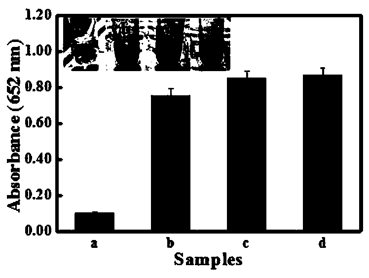 Preparation method and application of a capillary array for rapid detection of occult blood