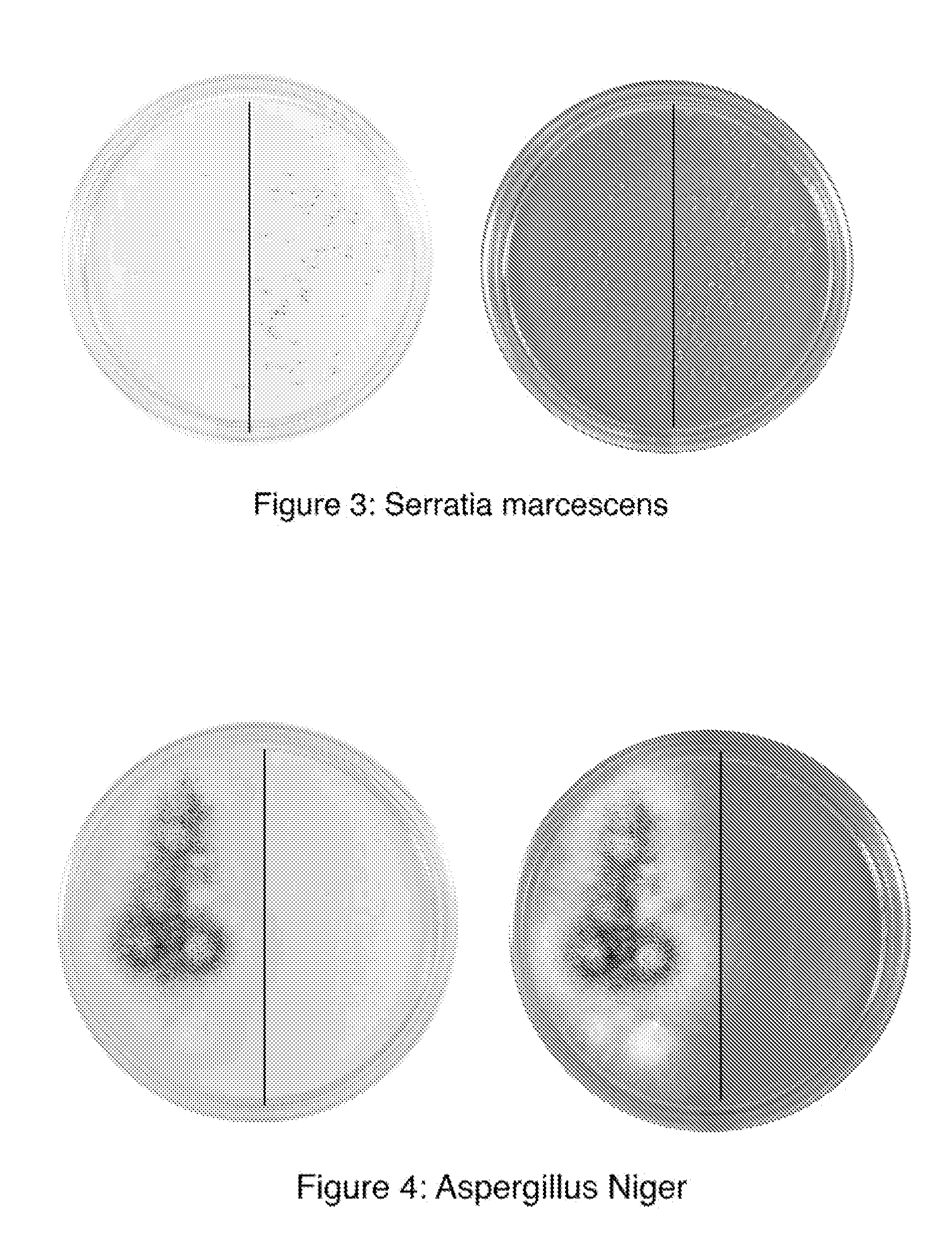 Method and Apparatus for Producing a High Level of Disinfection in Air and Surfaces