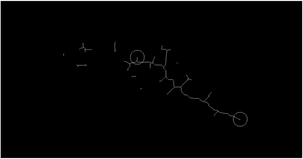 Forest fire smoke video target detection method based on characteristic roots and hydromechanics