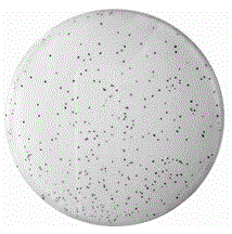 Chlamydomonas reinhardtii efficient library building method using square wave electroporation