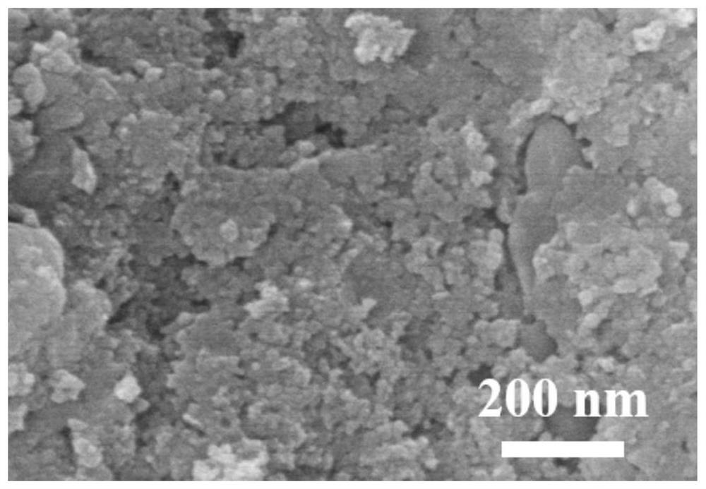 Monatomic catalyst, preparation method thereof, microelectrode and preparation method and application of microelectrode