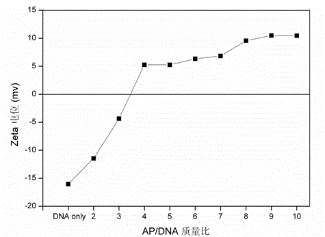 Cationic silk fibroin/gene compound, and preparation method and application thereof