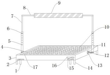 Field seedling raising seeder and using method thereof