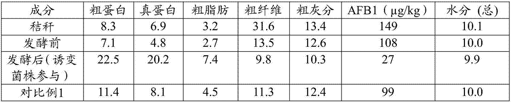 Capsule rhodobacter strain for degrading aspergillus flavus B1, application of capsule rhodobacter strain, degradation agent and application of degradation agent