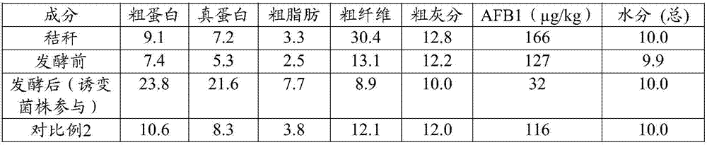 Capsule rhodobacter strain for degrading aspergillus flavus B1, application of capsule rhodobacter strain, degradation agent and application of degradation agent