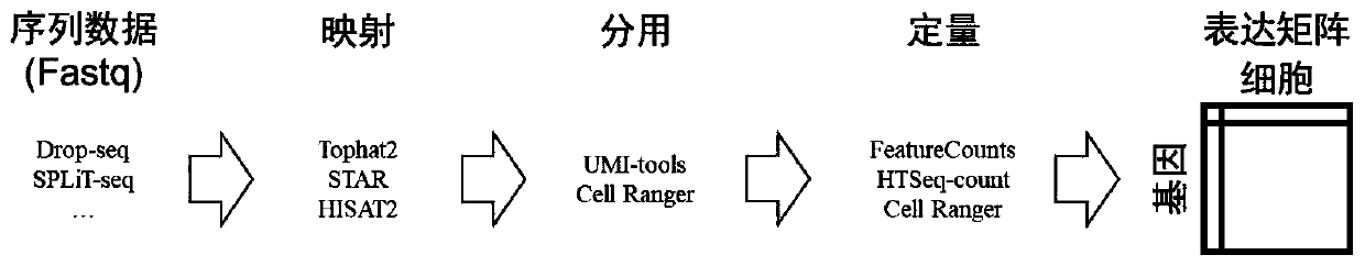 Single cell transcriptome missing value filling method based on deep hybrid network