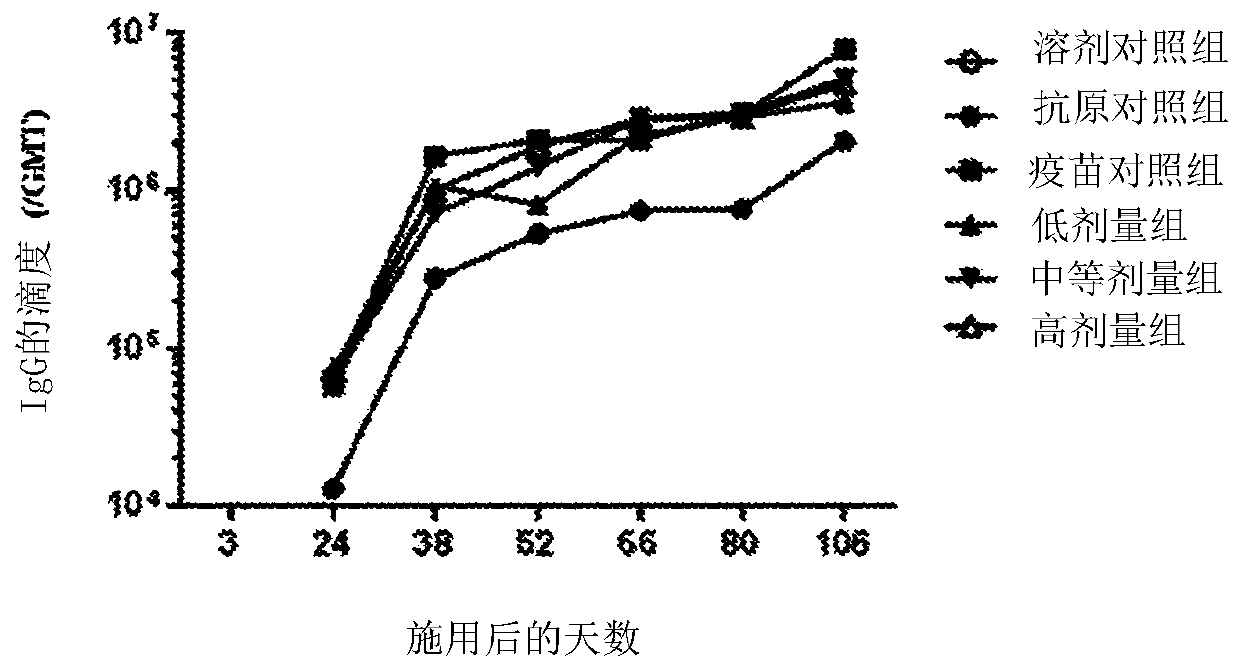 Composition for treating and/or preventing hepatitis b virus infection and use thereof