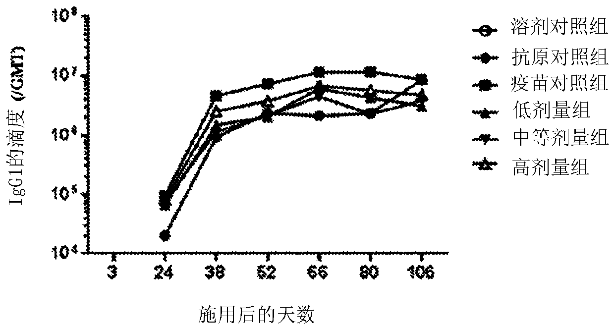 Composition for treating and/or preventing hepatitis b virus infection and use thereof