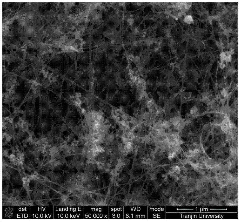 Preparation method of ferric oxide/carbon nanotube lithium ion battery anode material