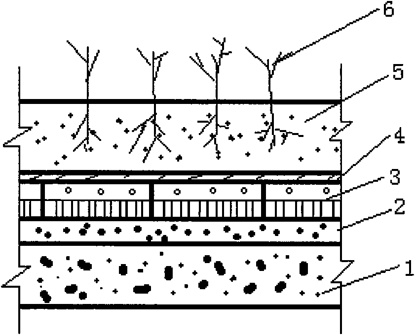 Roof greening system and greening method