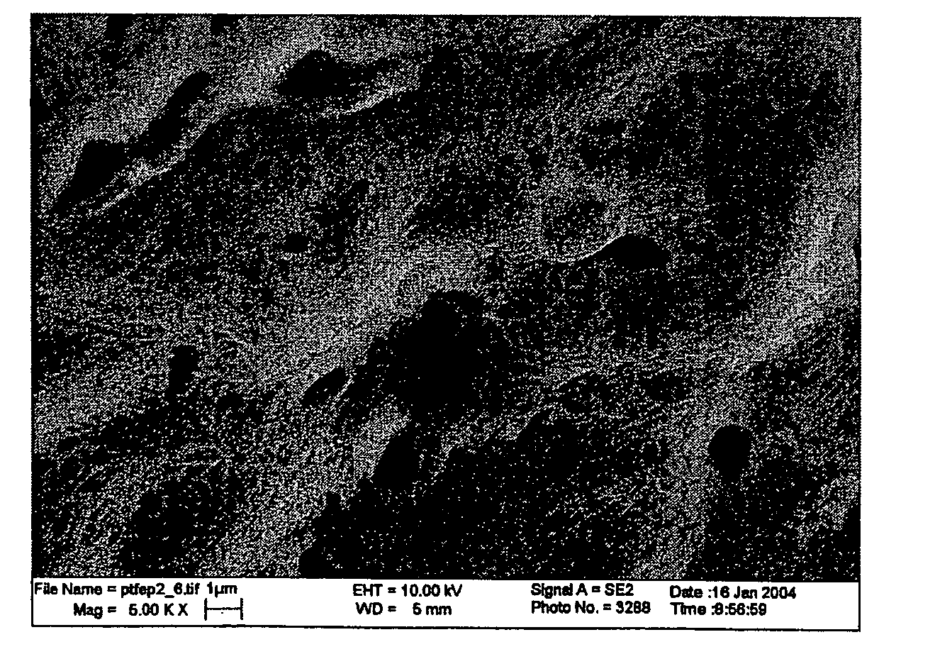 Loadable polymeric particles for therapeutic and/or diagnostic applications and methods of preparing and using the same