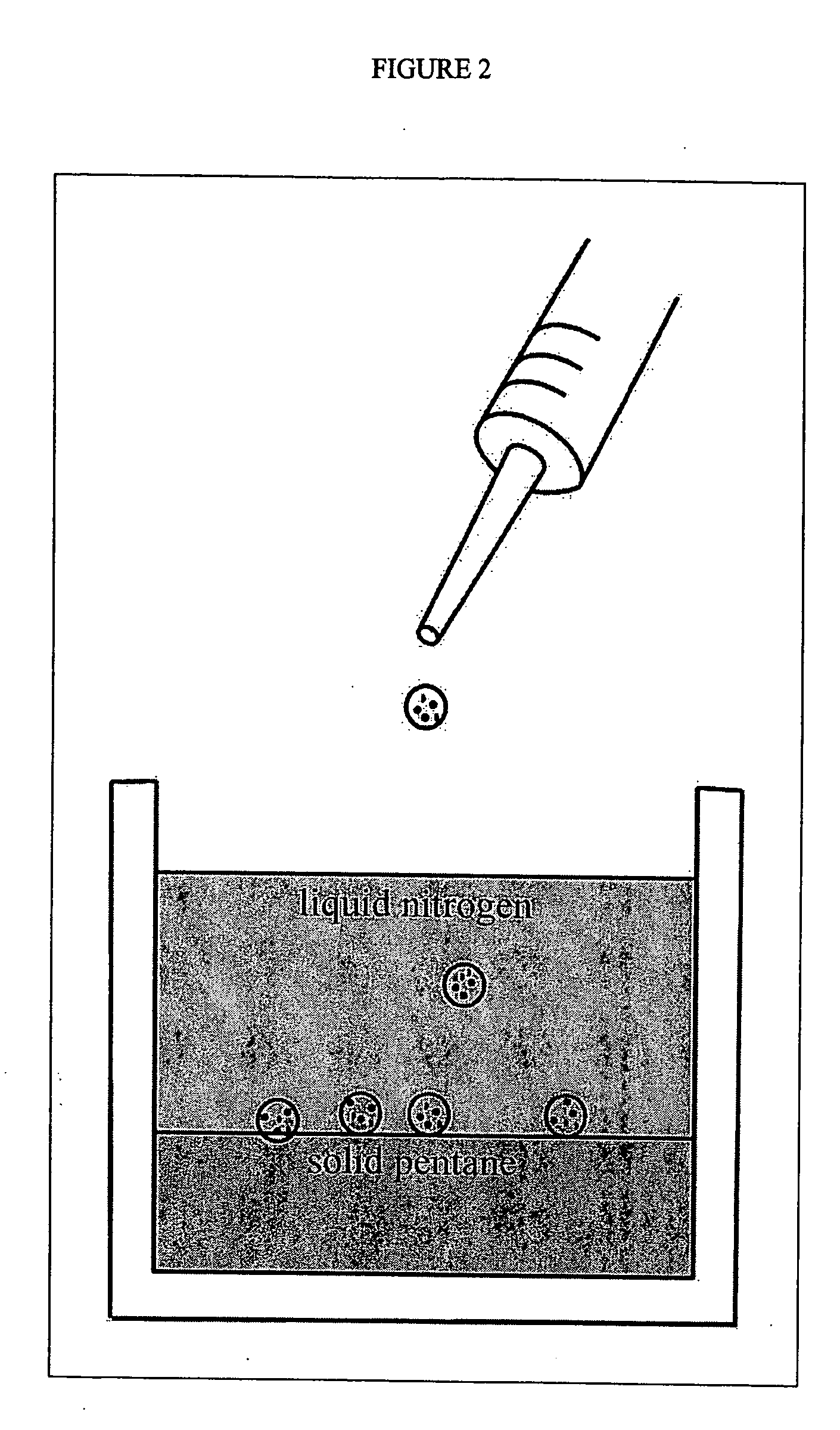 Loadable polymeric particles for therapeutic and/or diagnostic applications and methods of preparing and using the same