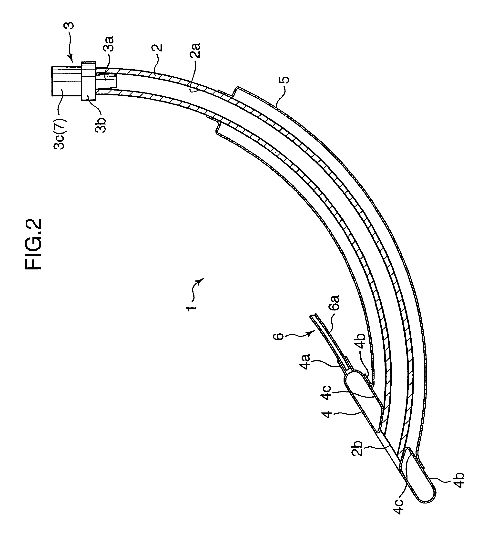 Brain cooling apparatus and fluid injection apparatus used therefor