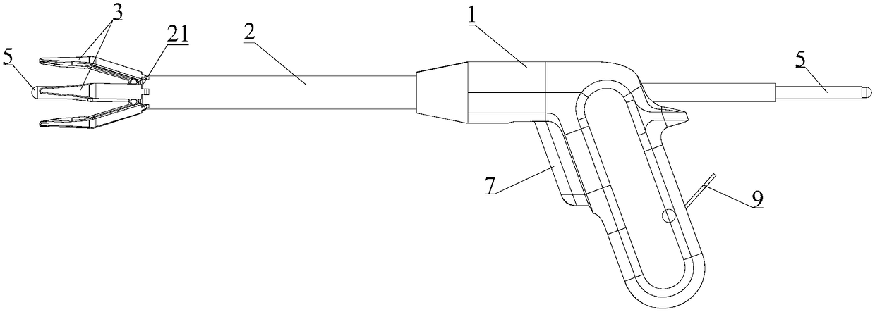 Measuring instrument for prolapse of rectum