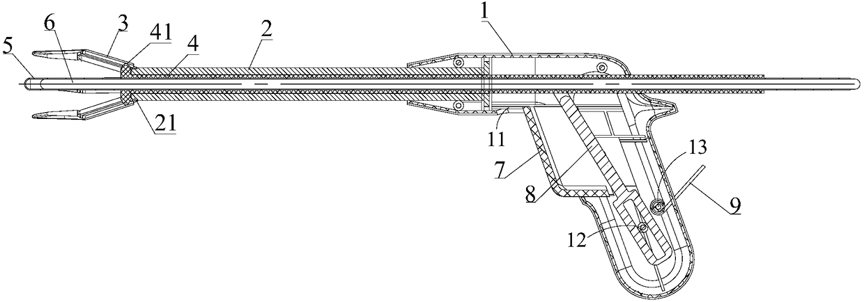 Measuring instrument for prolapse of rectum