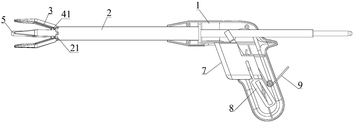 Measuring instrument for prolapse of rectum