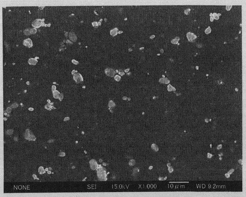 Non-aqueous electrolyte secondary battery and fabrication method for non-aqueous electrolyte secondary battery