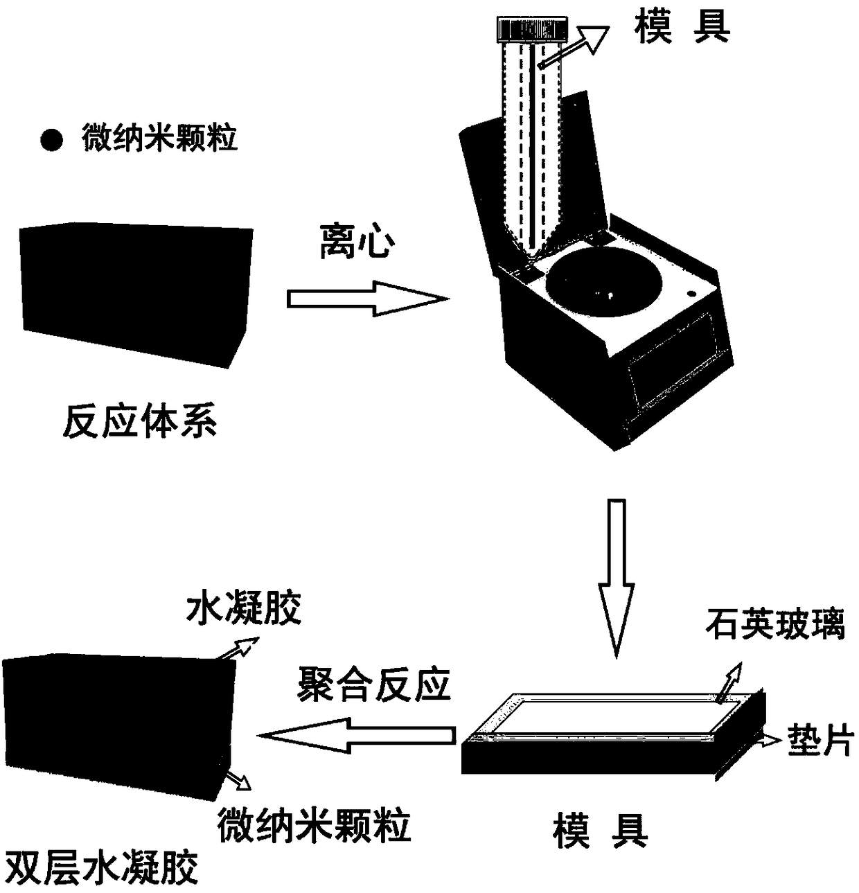 Method of preparing self-driving gradient-composition hydrogel through supergravity and application of the hydrogel