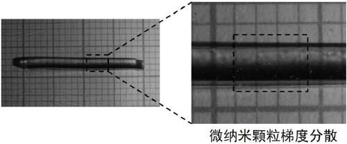 Method of preparing self-driving gradient-composition hydrogel through supergravity and application of the hydrogel