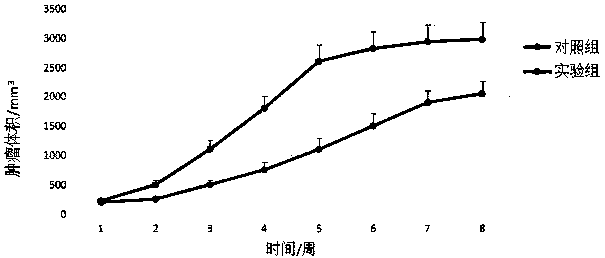 Method for improving success rate of colon cancer PDX model