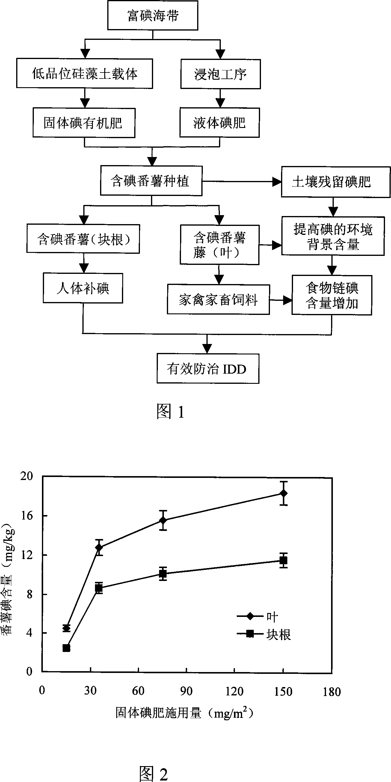 Iodine-contained sweet potato planting method