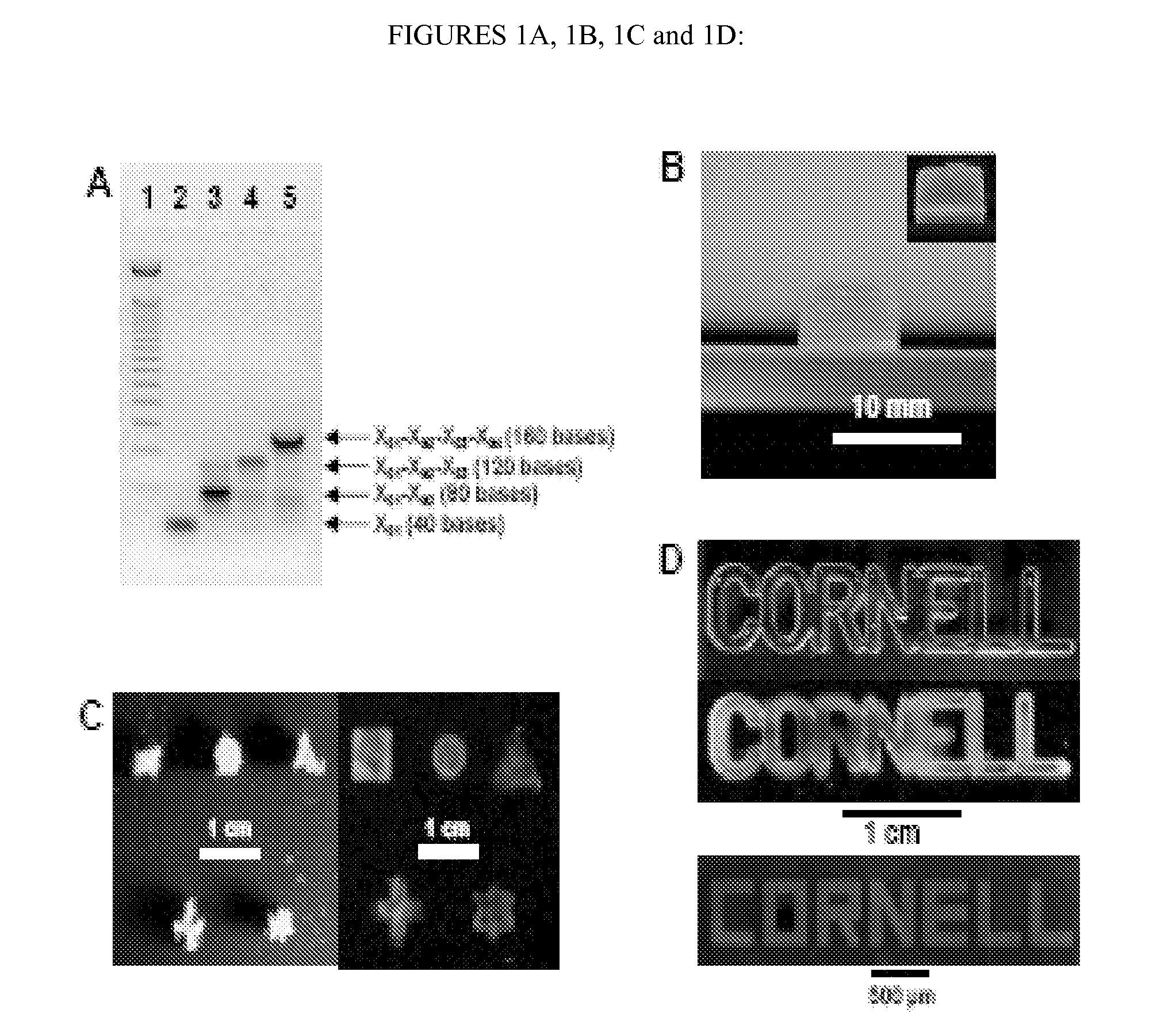 Nucleic acid-based matrixes