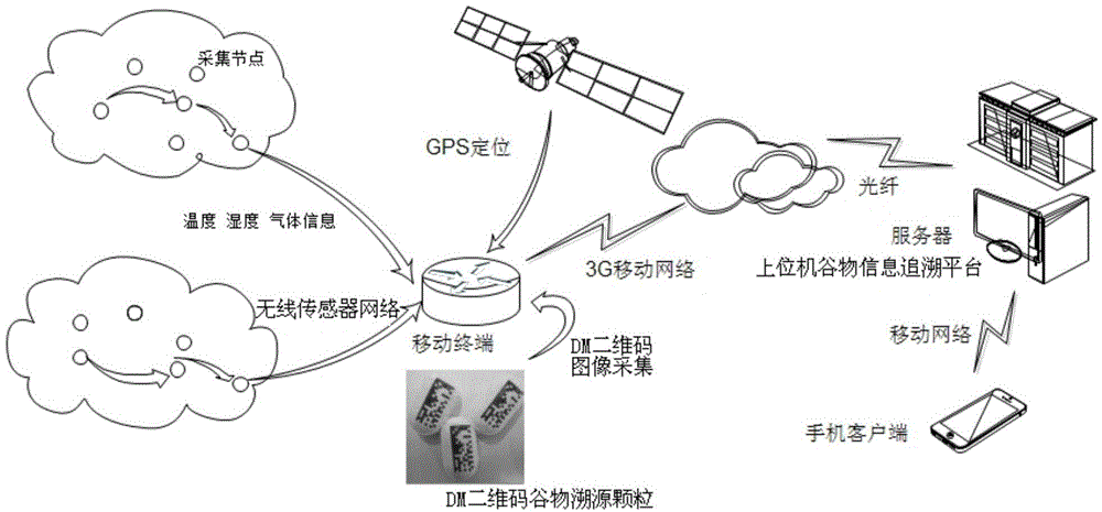 Precise information acquisition and tracing system and tracing method based on DM (Data Matrix) two-dimension code grain tracing particles