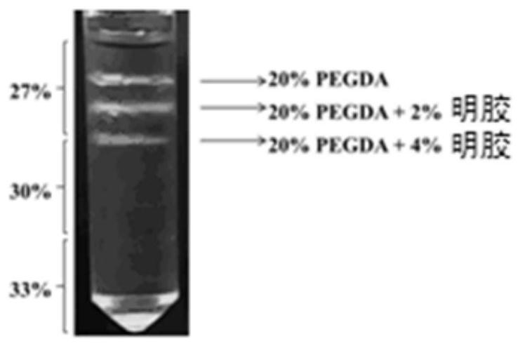 Hydrogel microcarrier and its preparation method and application