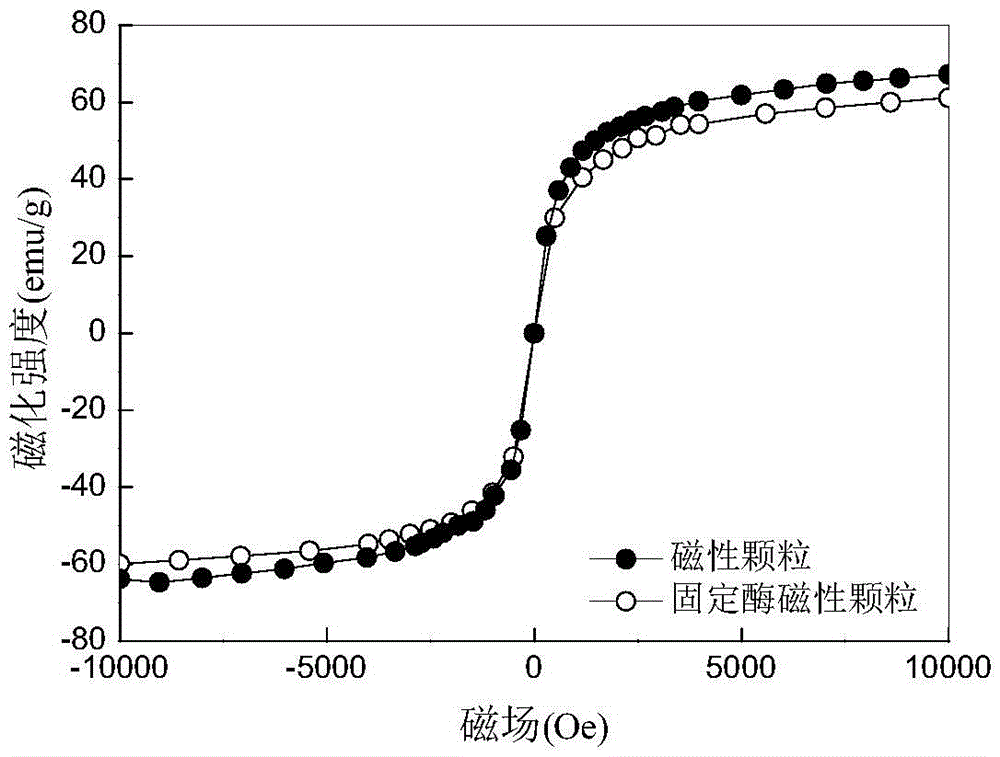 Reverse micelle emulsion used for biological enzyme immobilization and biological enzyme immobilization method thereof