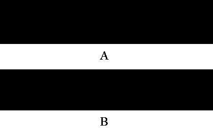 Probes for TORCH detection, gene chip, kit and detection method