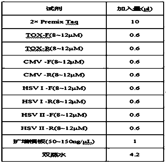 Probes for TORCH detection, gene chip, kit and detection method