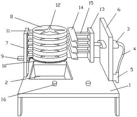 Carambola slicer