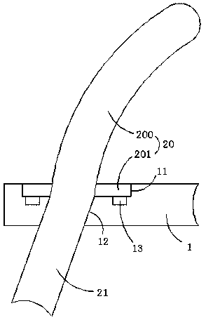 Saliva collector and method thereof