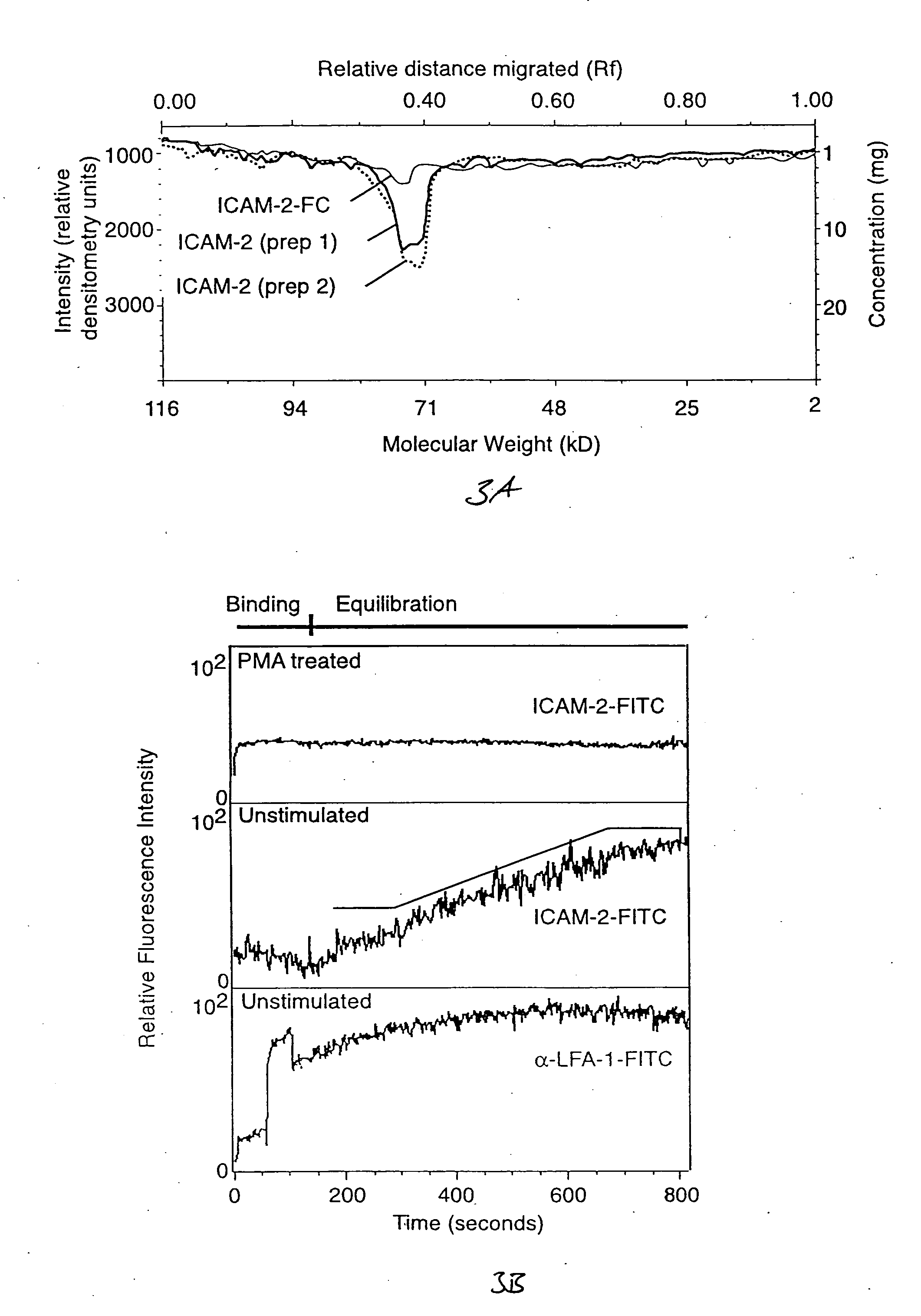 Methods and compositions for detecting receptor-ligand interactions in single cells