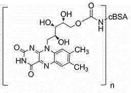 Vitamin B2 conjugate and preparation method and application thereof