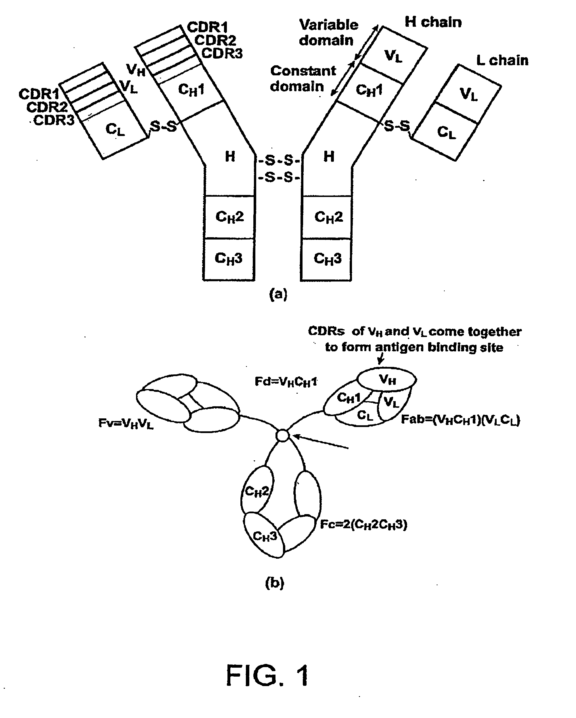 Single-domain antigen-binding antibody fragments derived from llama antibodies