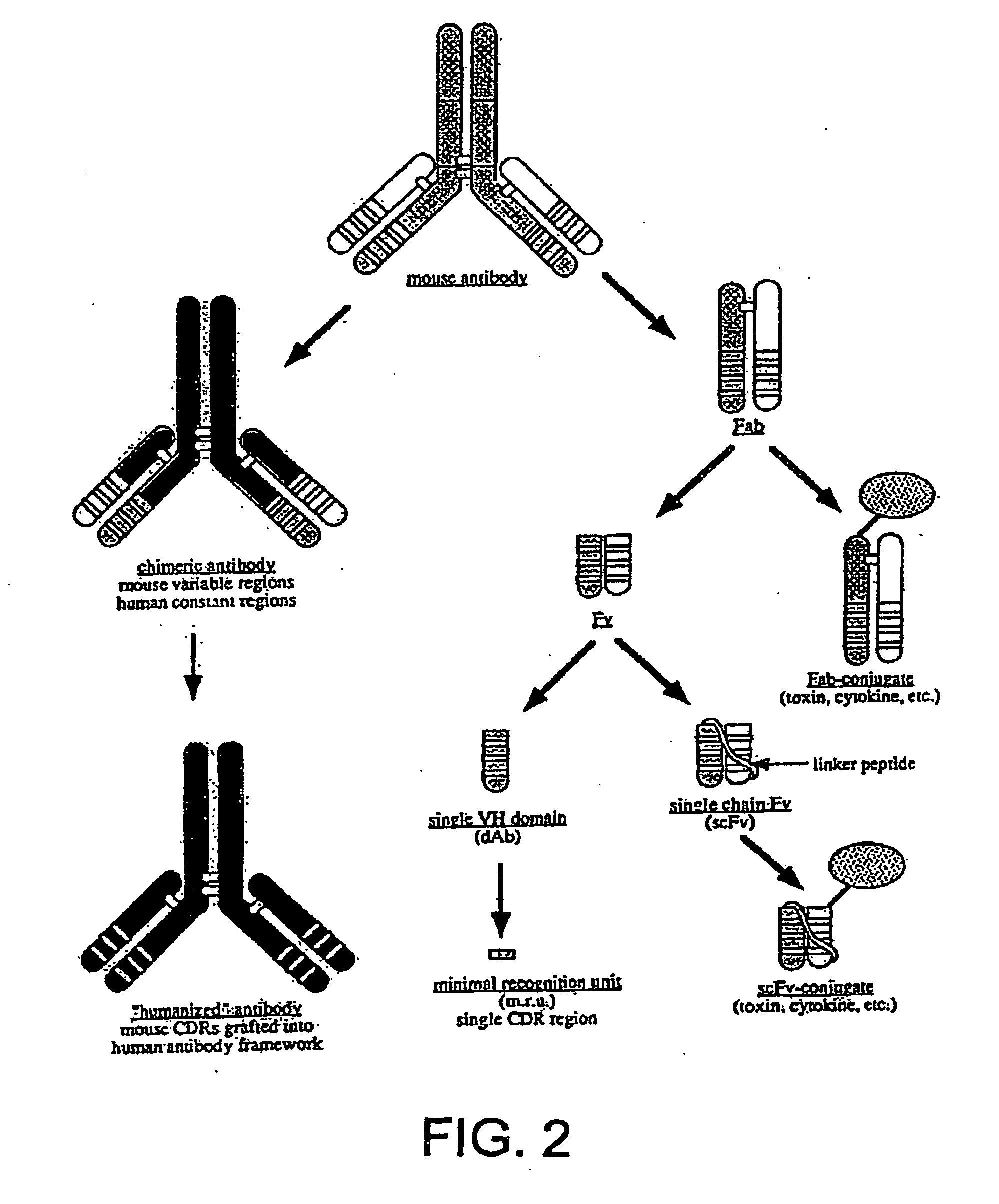 Single-domain antigen-binding antibody fragments derived from llama antibodies