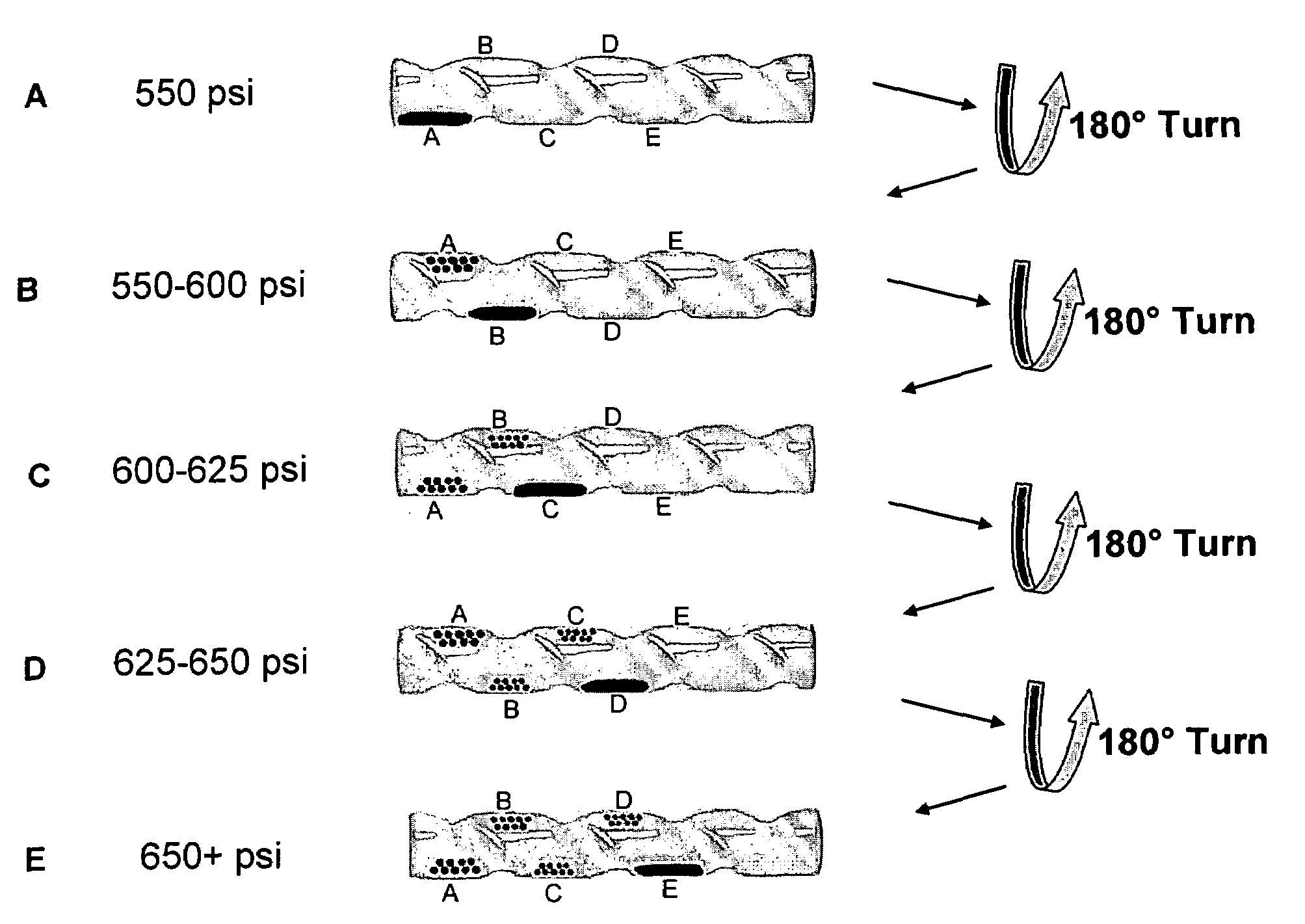 Selection and deposition of nanoparticles using CO<sub>2</sub>-expanded liquids