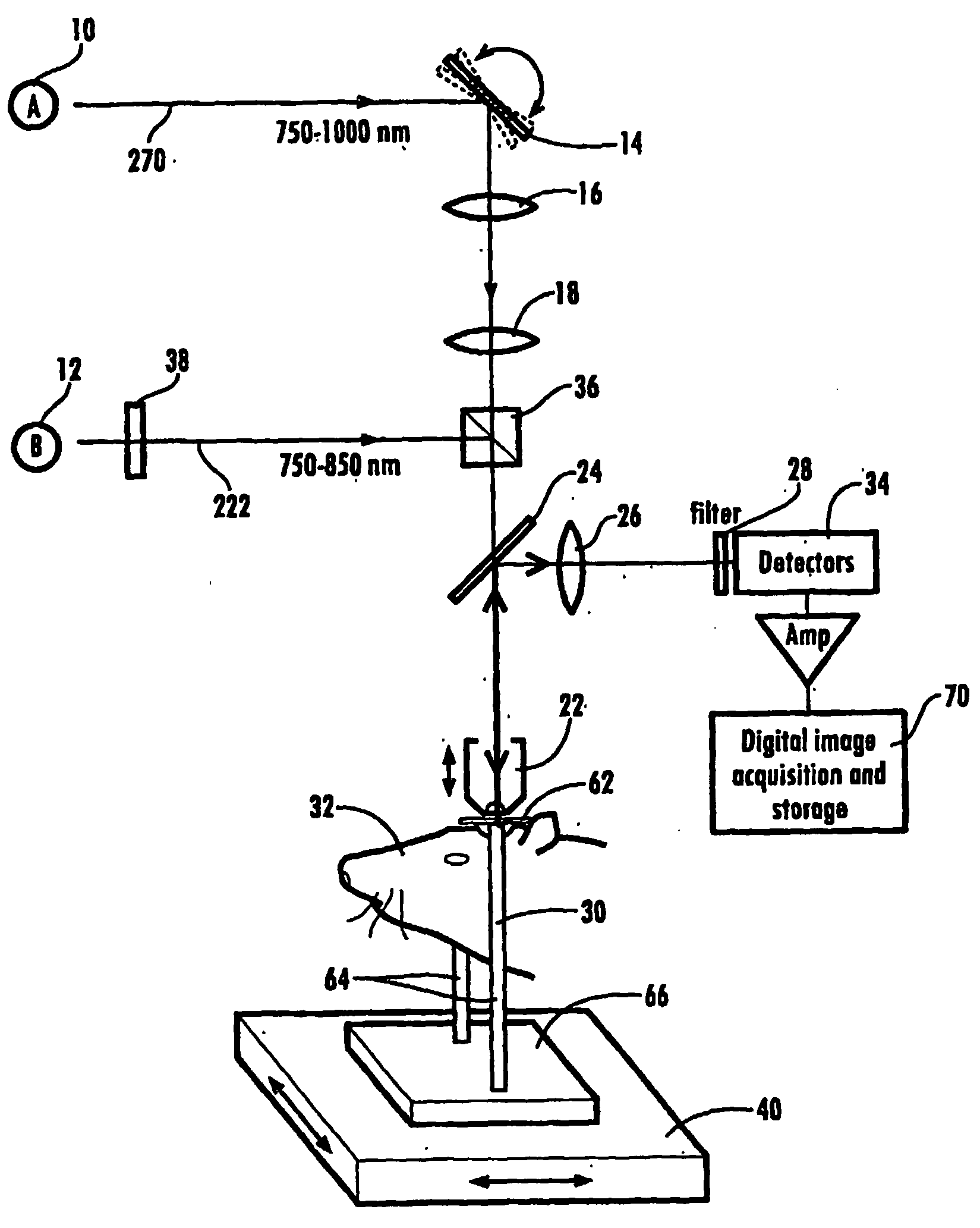 Device and method for inducing vascular injury and/or blockage in an animal model