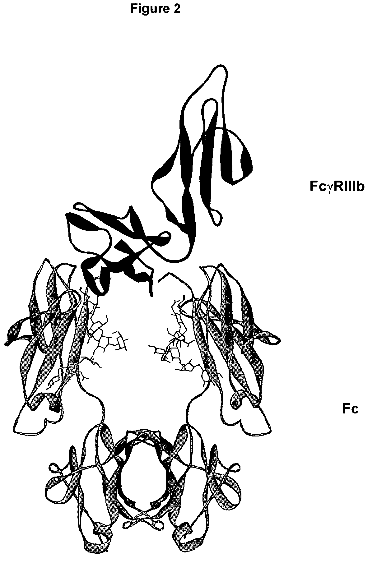 Immunoglobulin variants outside the Fc region