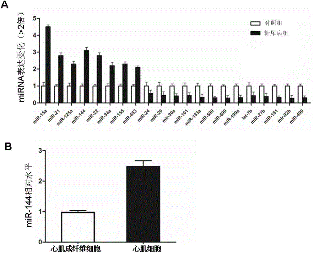 Application of miR-144 and inhibitor thereof