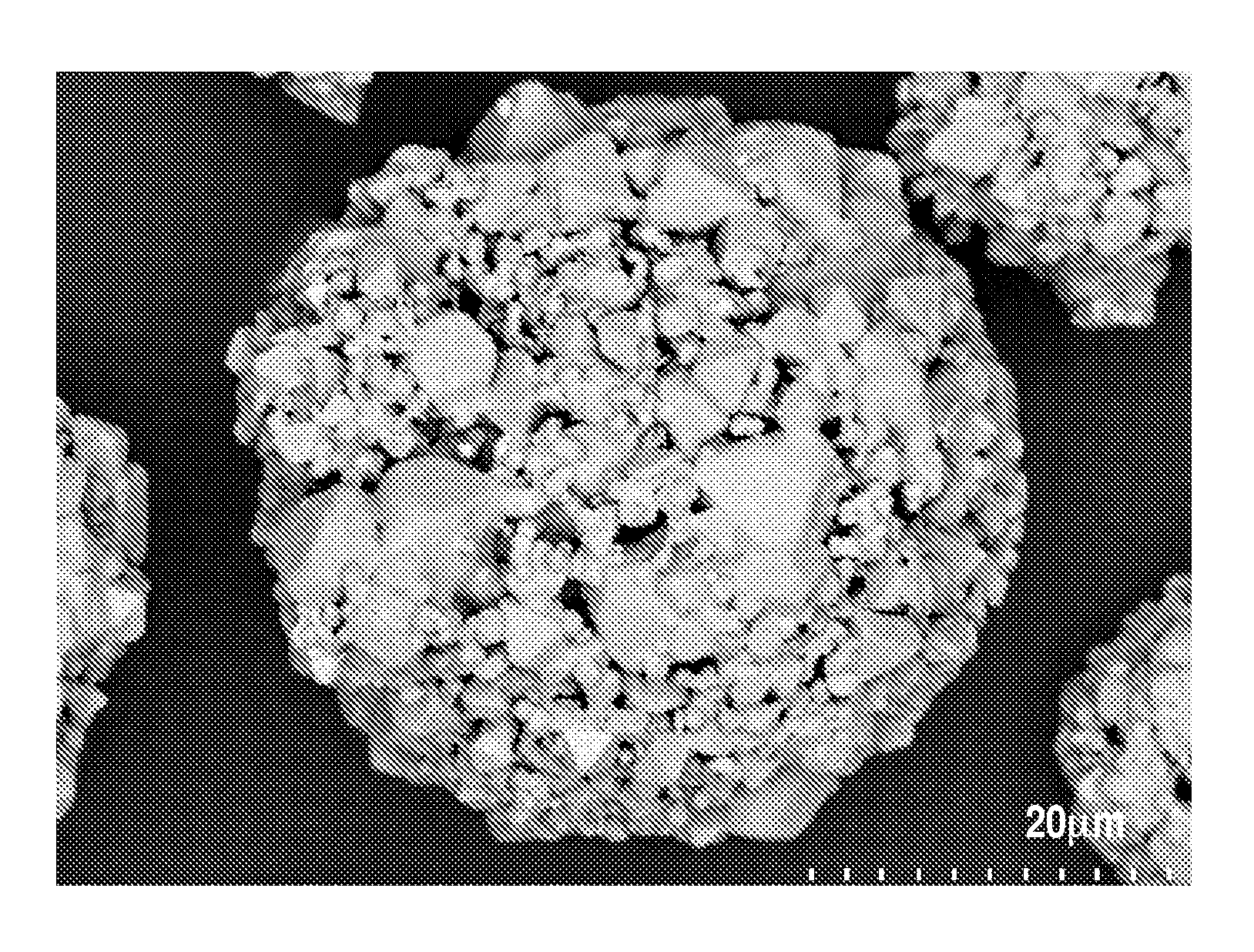 Magnetic carrier, two-component developer and image forming method