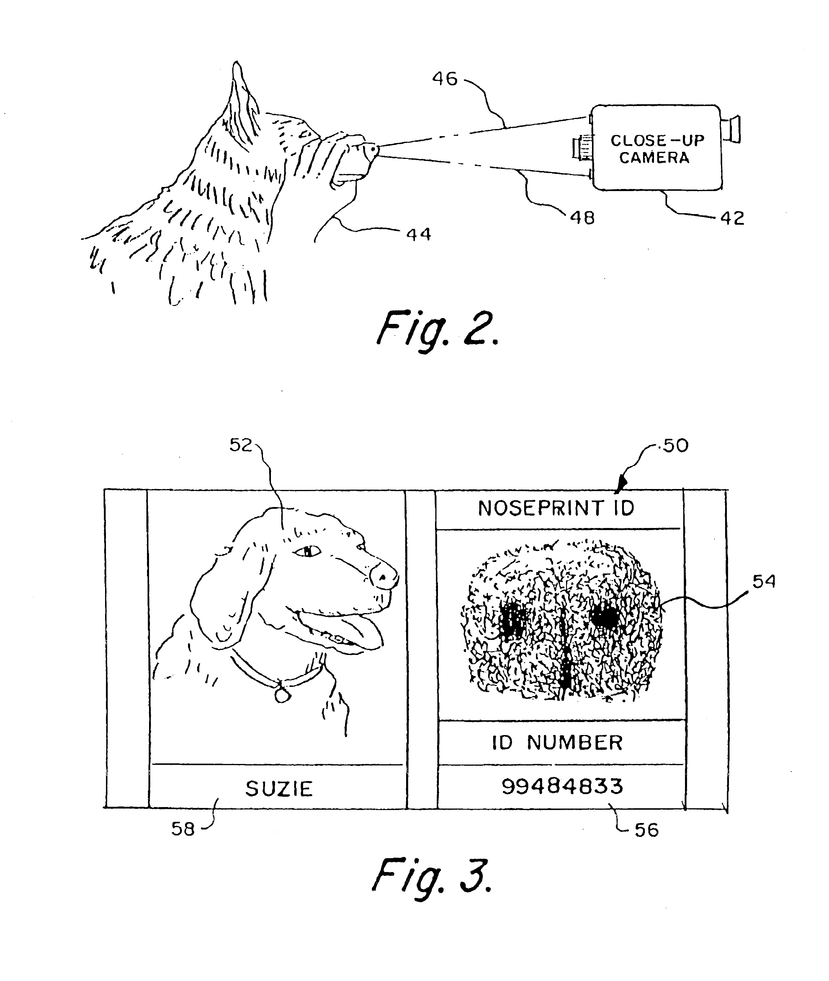 Pet identification system and method