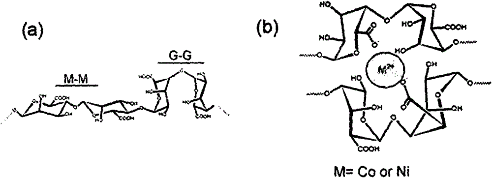 Preparation method for Ni-Co/carbon nanotube aerogel catalyst of zinc-air battery