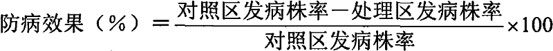 Composite type corn seed coating agent